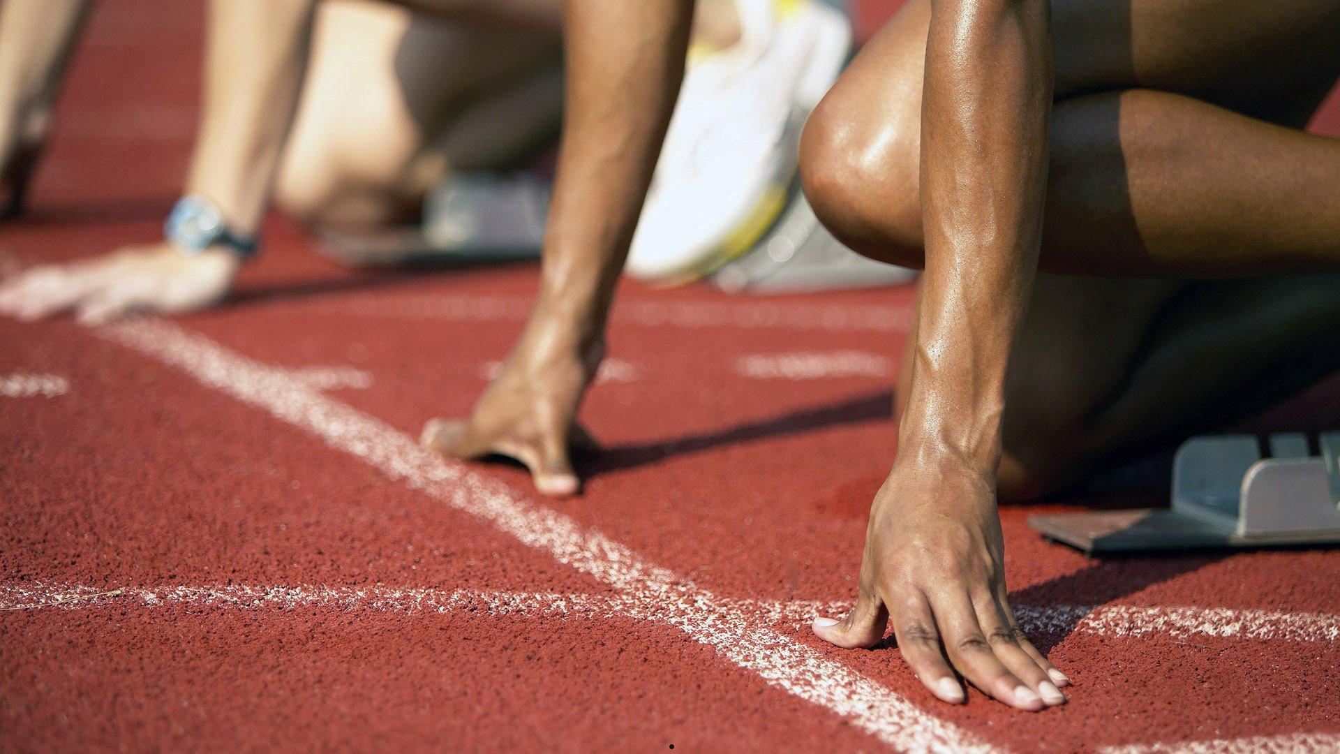 中国游泳队世锦赛再创佳绩 新星闪耀巴黎奥运周期